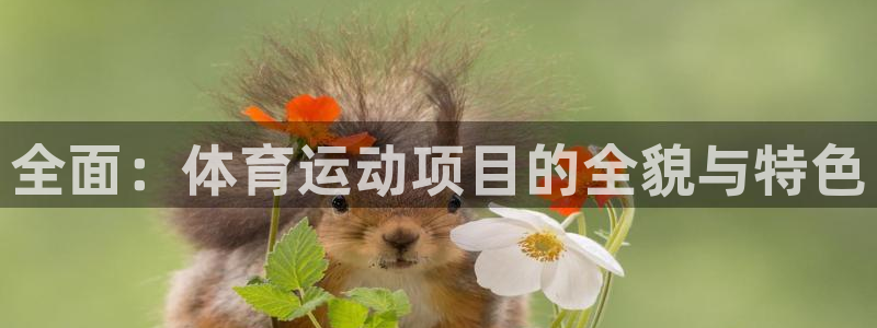 米兰体育官方正版app娱乐40996：全面：体育运动