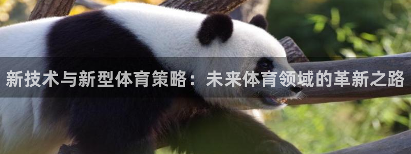 米兰体育官网下载招商：新技术与新型体育策略：未来体育领域的革