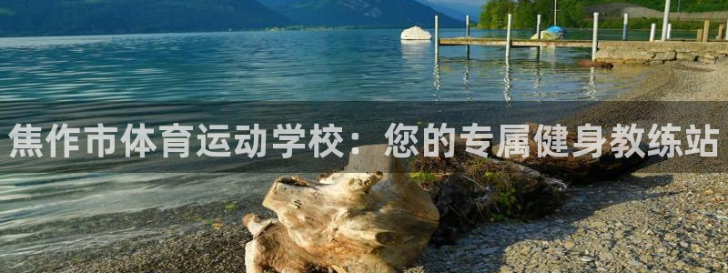 米兰体育官方正版app代理：焦作市体育运动学校：您的专属健身