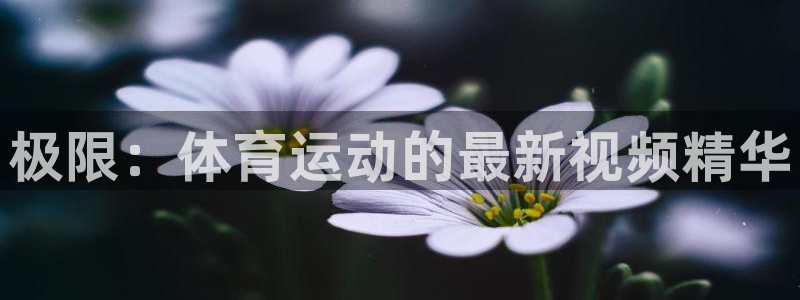 米兰体育官方正版app集团：极限：体育运动的最新视频精华