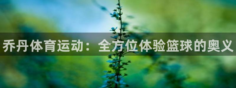米兰体育官方正版app官网：乔丹体育运动：全方位体验