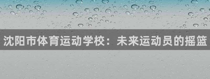 米兰体育官方正版app集团：沈阳市体育运动学校：未来运动员的