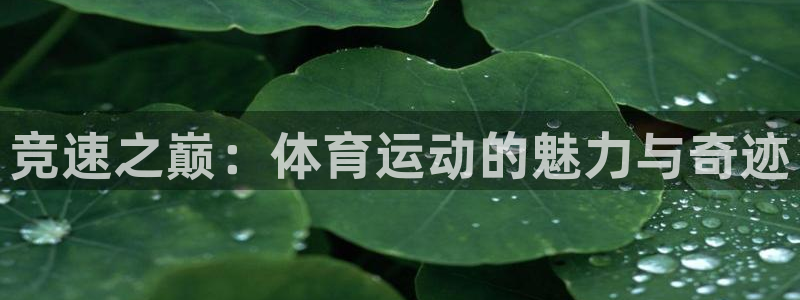 米兰体育官网下载娱乐：竞速之巅：体育运动的魅力与奇迹