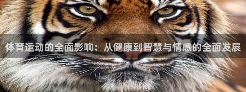 米兰体育官网下载注册：体育运动的全面影响：从健康到智慧与情感