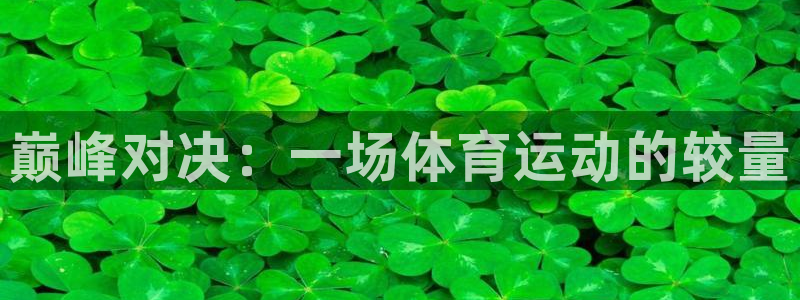 米兰体育官方正版app娱乐：巅峰对决：一场体育运动的较量