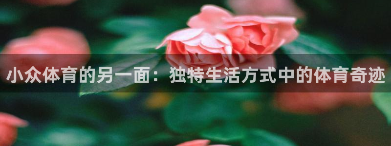 米兰体育官网下载平台注册要钱吗安全吗：小众体育的另一面：独特