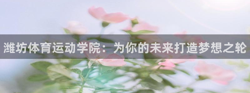 米兰体育官方正版app娱乐代理怎么样：潍坊体育运动学院：为你