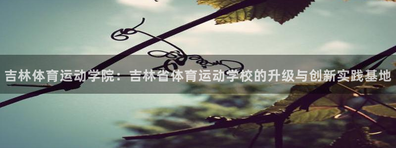 米兰体育官方正版app娱乐是那个系列的台子：吉林体育运动学院