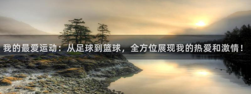 米兰体育官方正版app代理