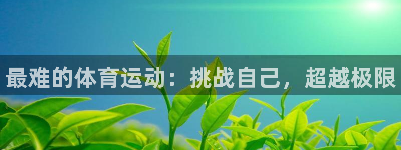 米兰体育官方正版app集团官网网址