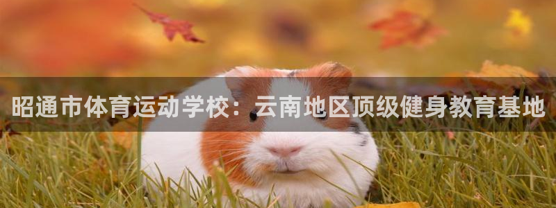 米兰体育官网下载平台注册流程视频：昭通市体育运动学校：云南地