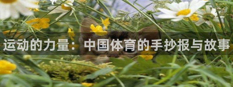 米兰体育官方正版app集团官网首页：运动的力量：中国