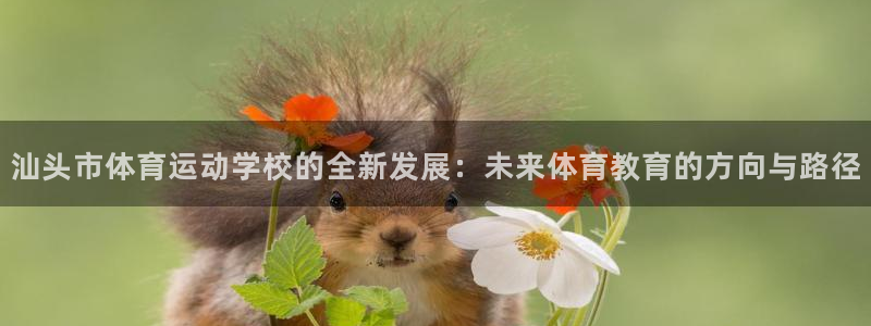 米兰体育官网下载招商：汕头市体育运动学校的全新发展：未来体育