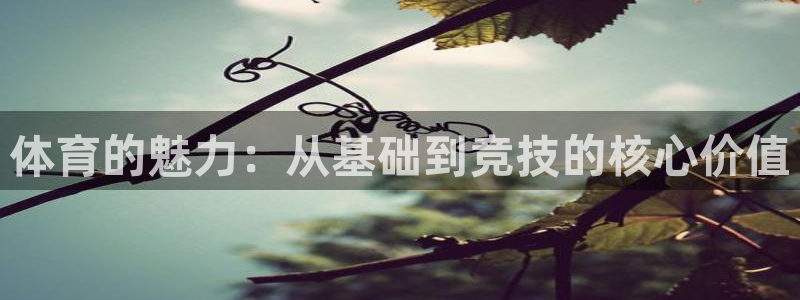 米兰体育官方正版app官方：体育的魅力：从基础到竞技的核心价