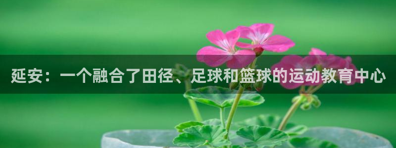 米兰体育官网下载招商电话地址查询：延安：一个融合了田径、足球