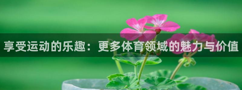 注册米兰体育官方正版app